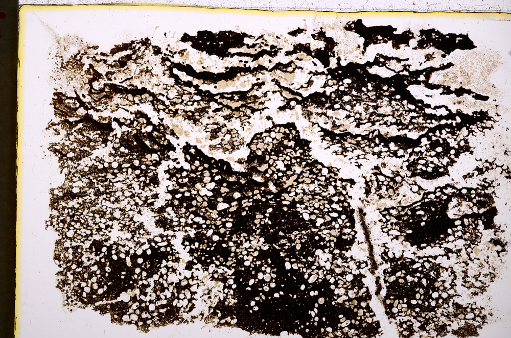Plane Polarized, E19480