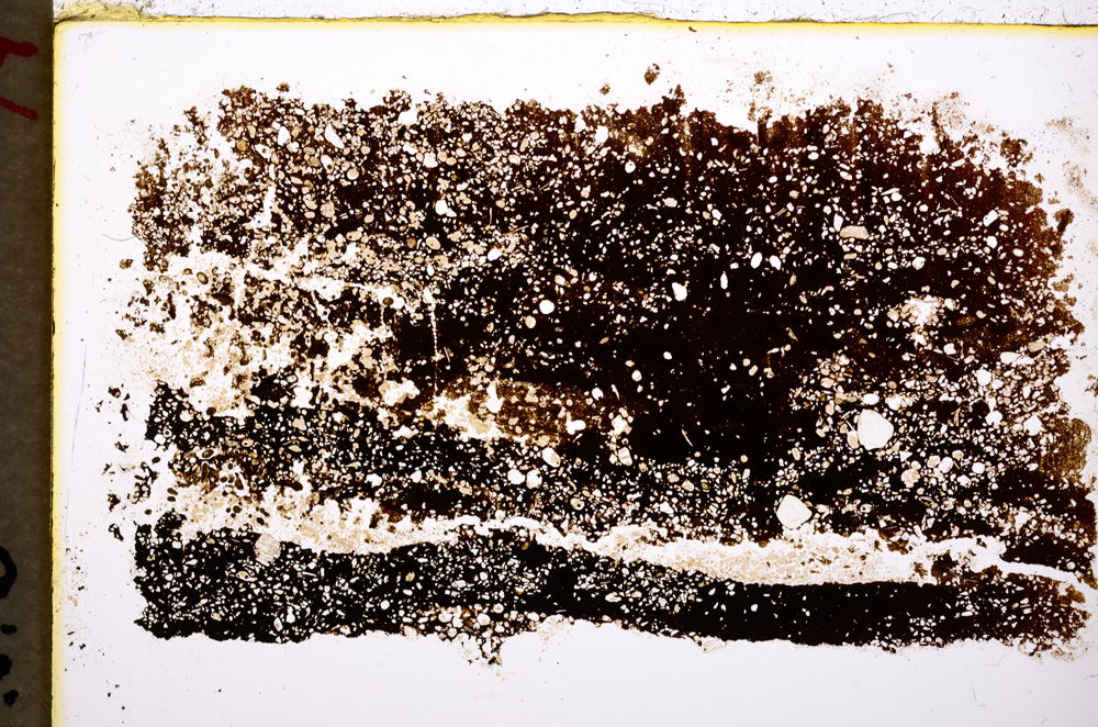 Plane Polarized, E19481
