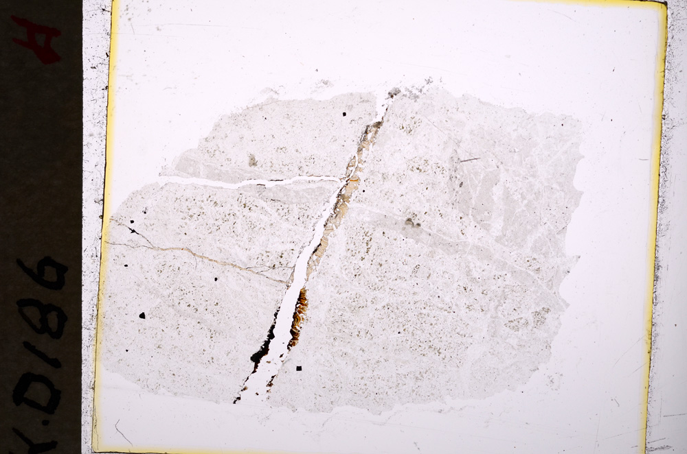 Plane Polarized, E19486