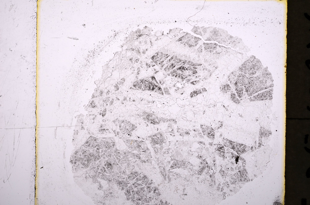 Plane Polarized, E19495