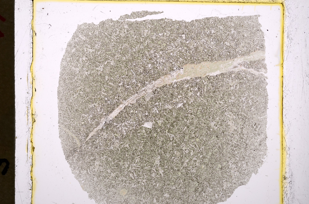 Plane Polarized, E19535