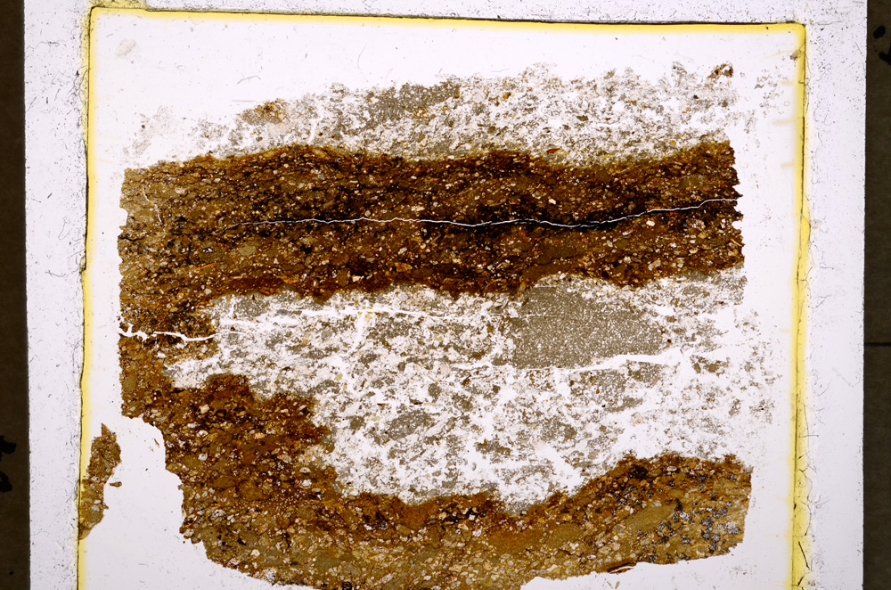 Plane Polarized, E19536