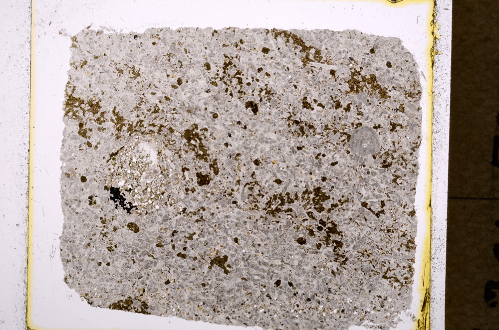 Plane Polarized, E19543