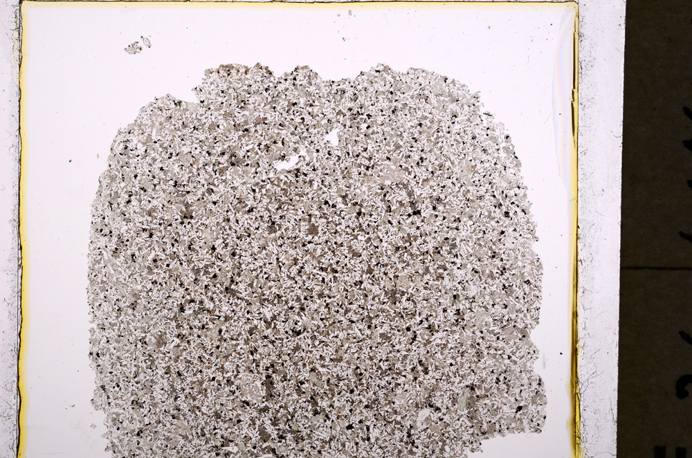 Plane Polarized, E19557