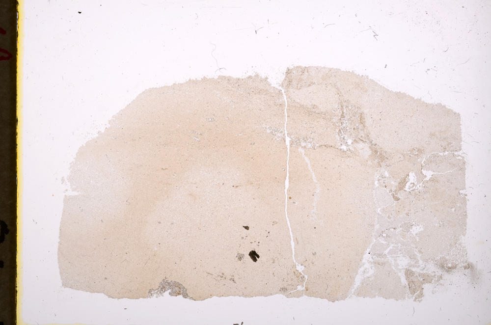 Plane Polarized, E19562