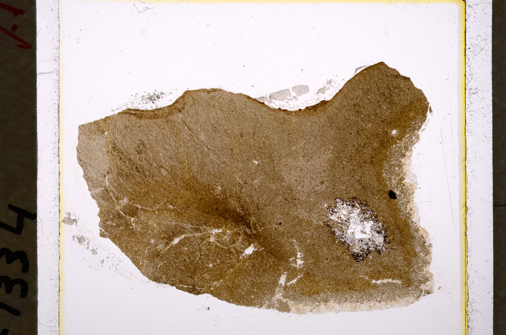 Plane Polarized, E19563