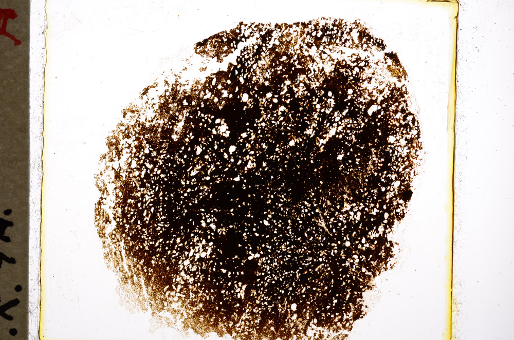 Plane Polarized, E19567