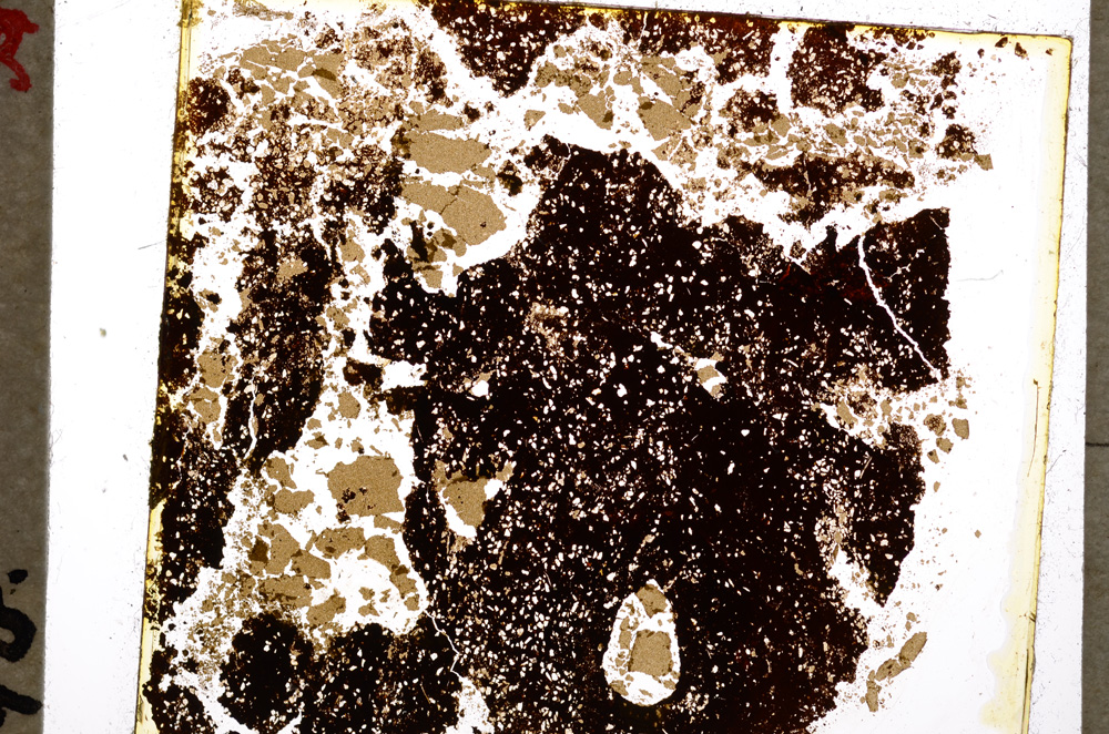 Plane Polarized, E19568