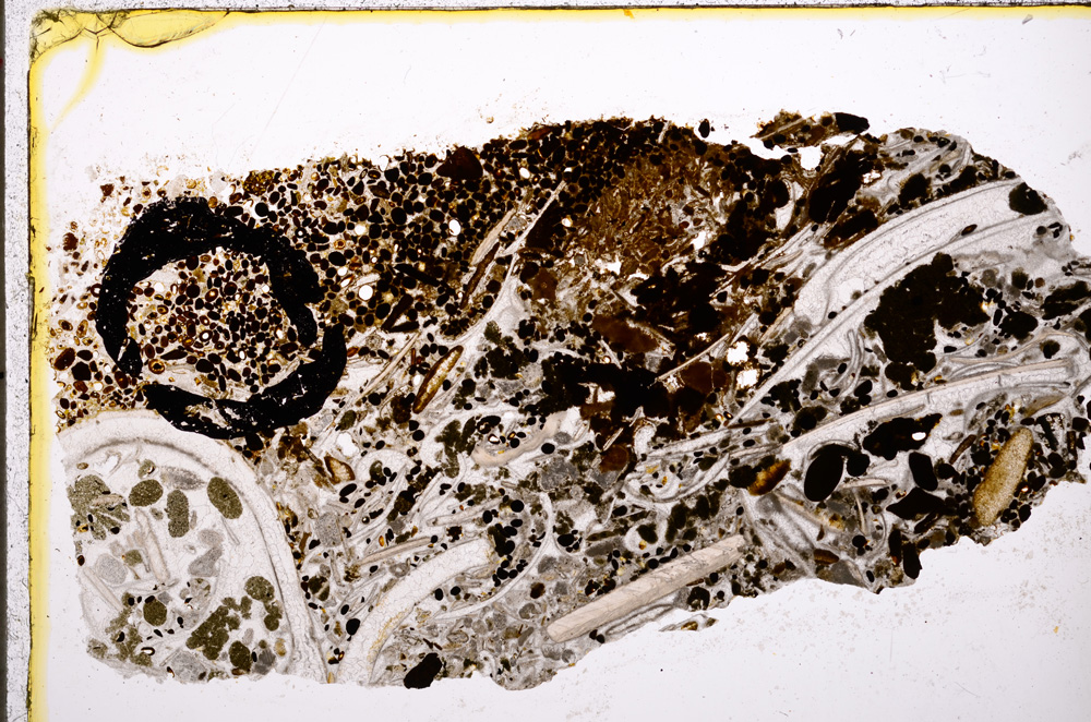 Plane Polarized, E19587