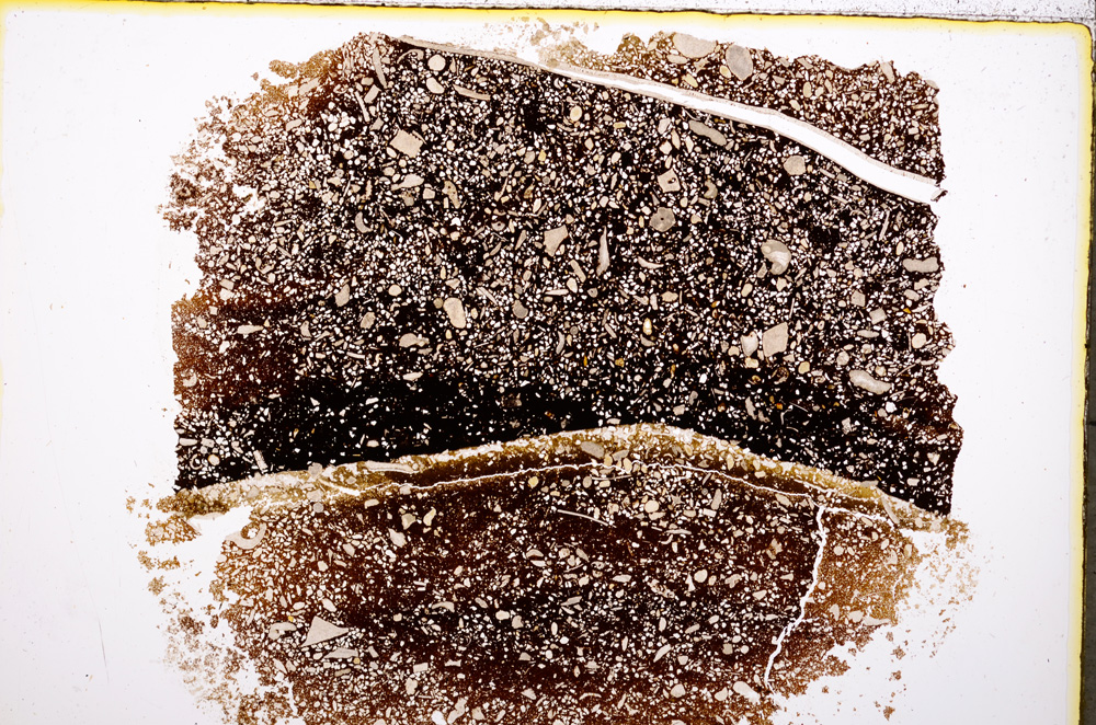 Plane Polarized, E19592