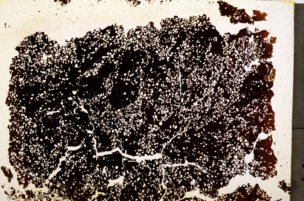 Plane Polarized, E19595/A