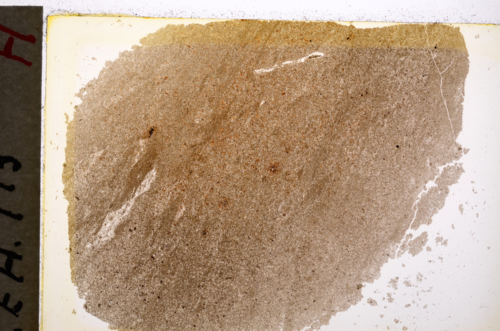 Plane Polarized, E19596/A