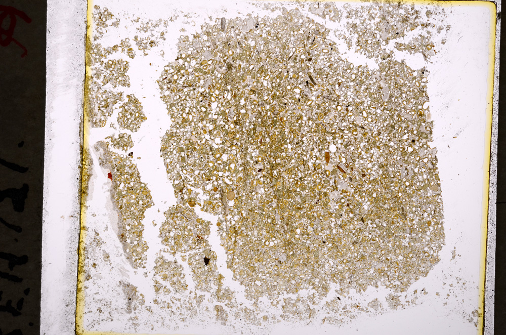 Plane Polarized, E19604