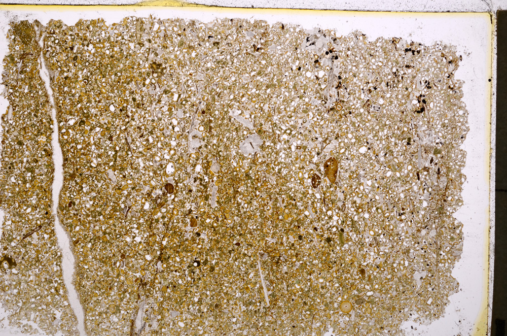 Plane Polarized, E19604/A