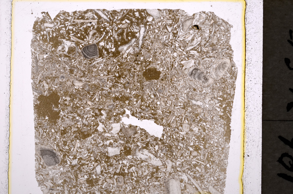 Plane Polarized, E19606