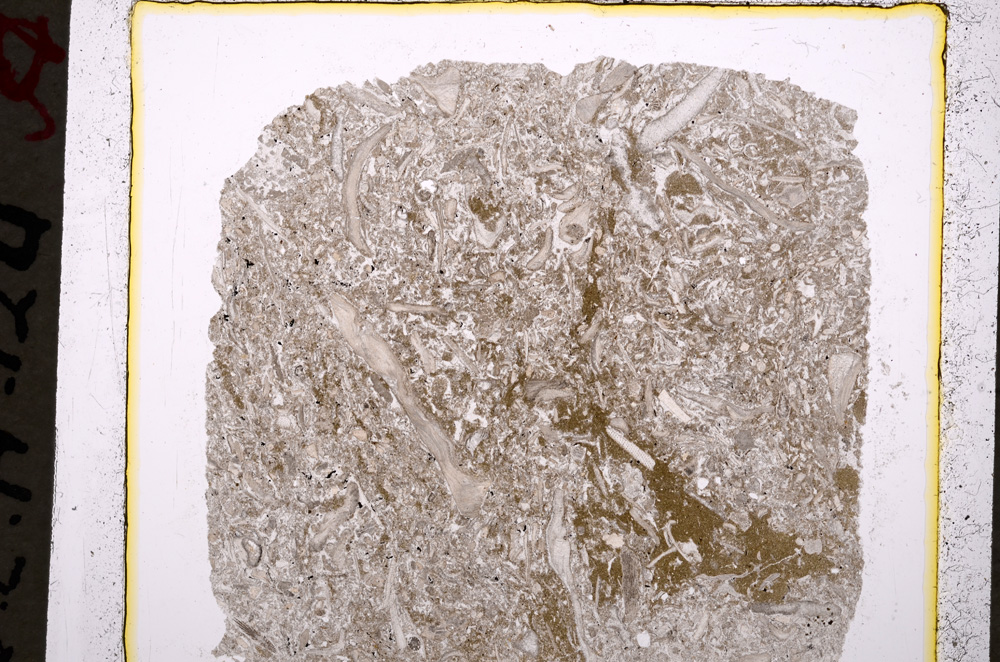 Plane Polarized, E19607