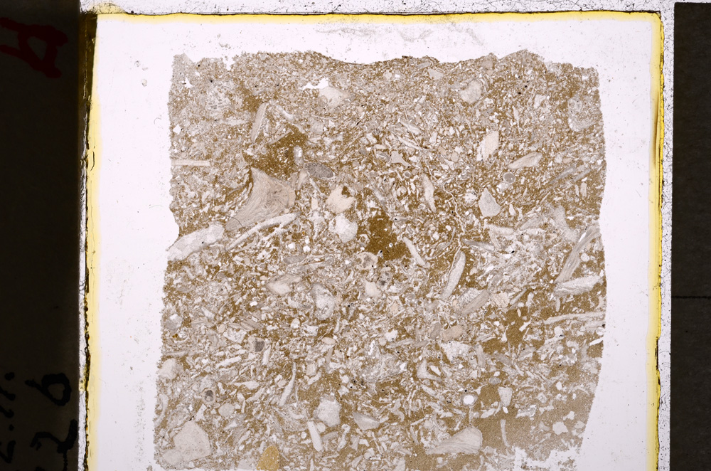 Plane Polarized, E19609