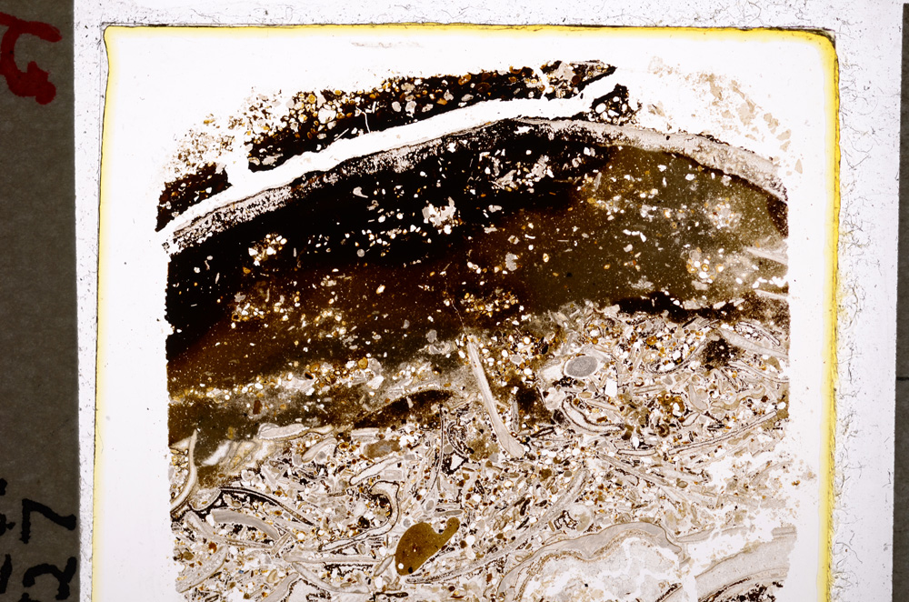 Plane Polarized, E19610