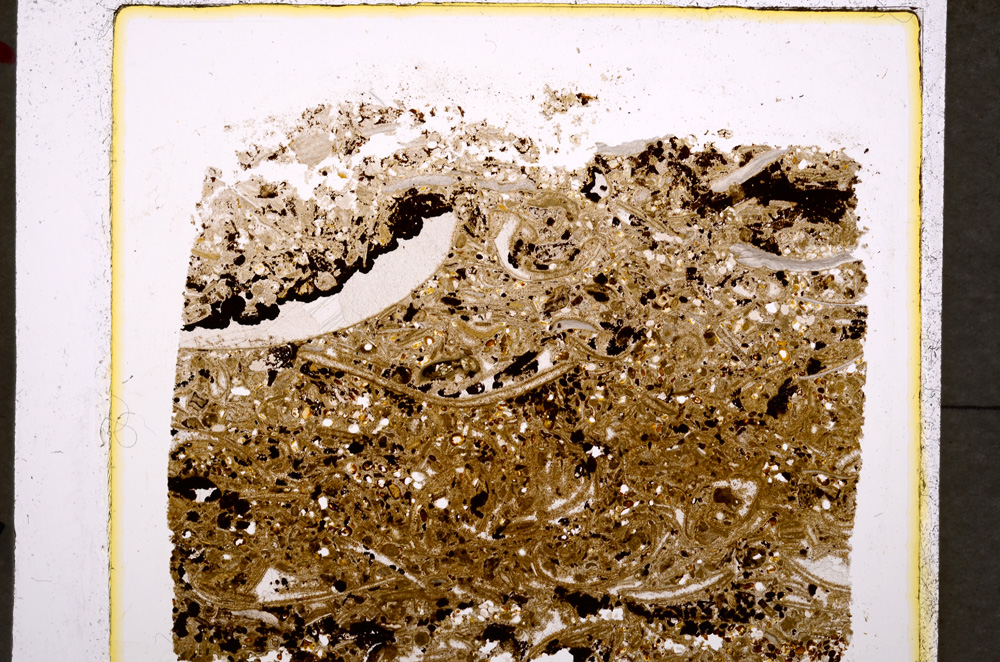 Plane Polarized, E19611