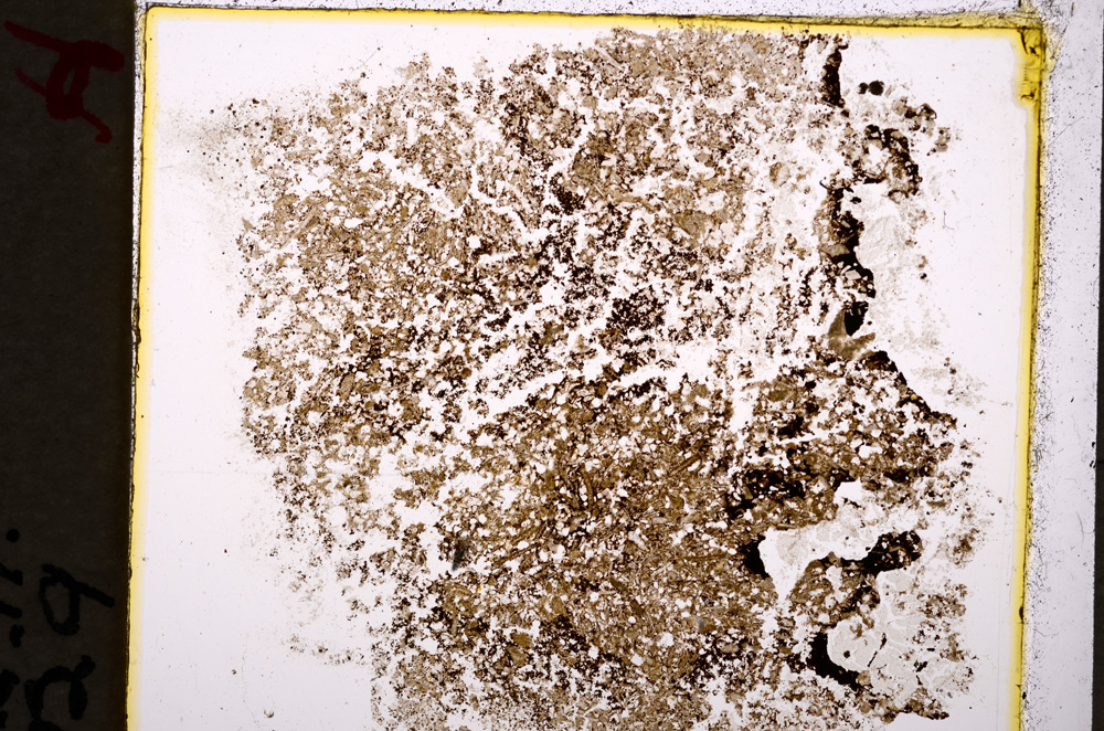 Plane Polarized, E19612