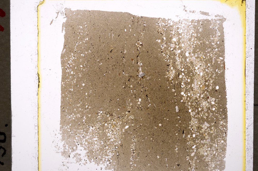 Plane Polarized, E19613