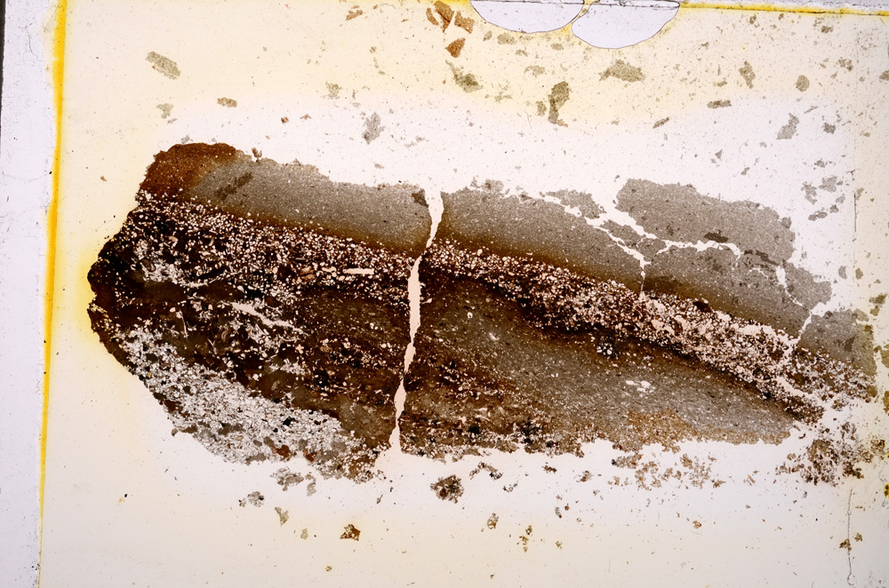 Plane Polarized, E19614/A