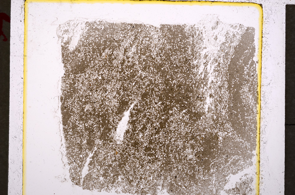 Plane Polarized, E19615