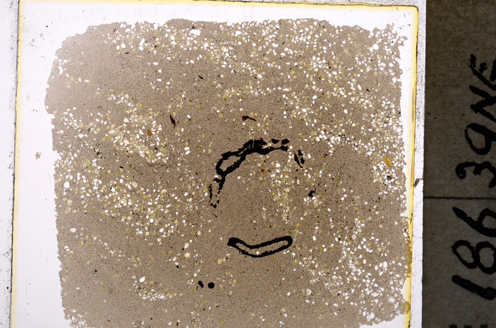 Plane Polarized, E19616