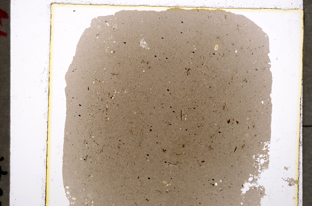 Plane Polarized, E19617