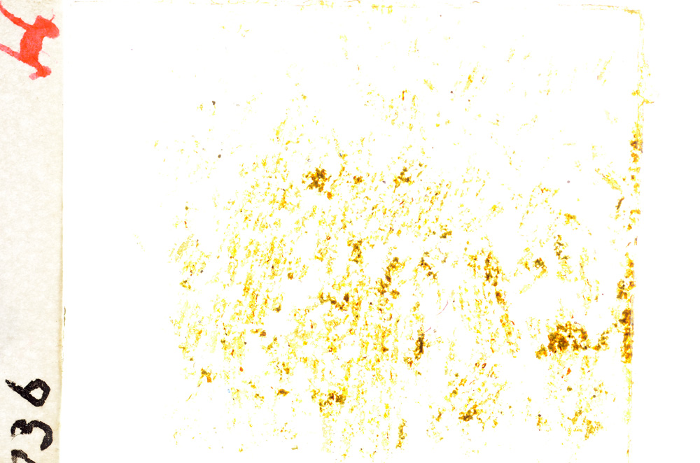 Plane Polarized, E19619