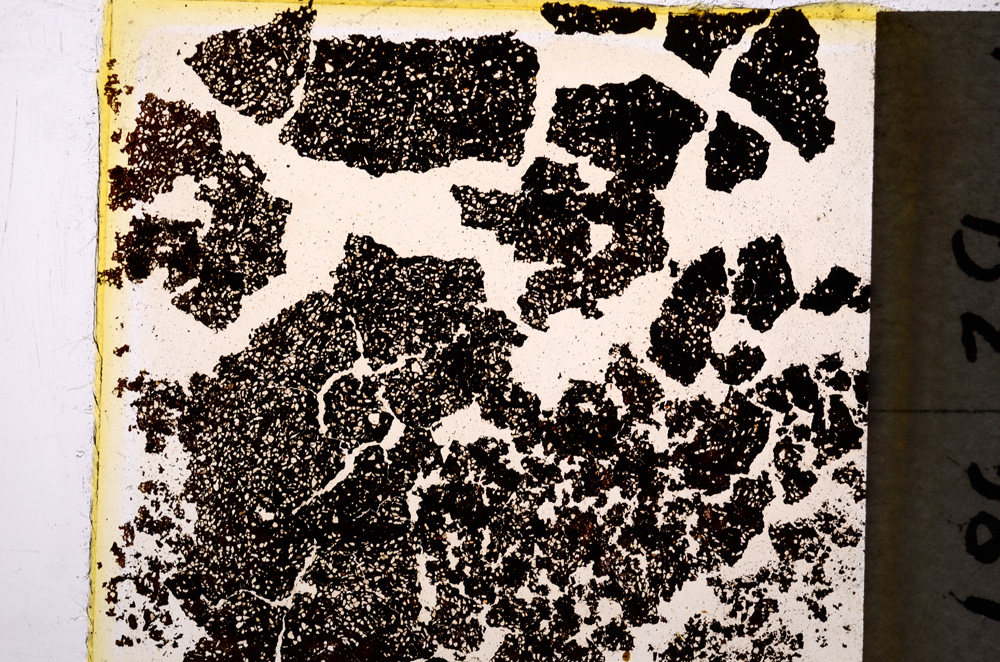 Plane Polarized, E19625/A