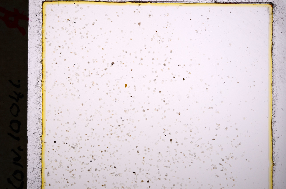 Plane Polarized, E19636