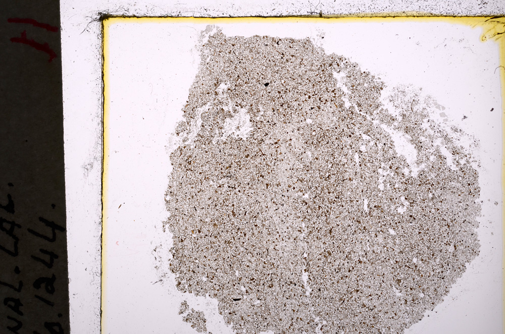 Plane Polarized, E19643