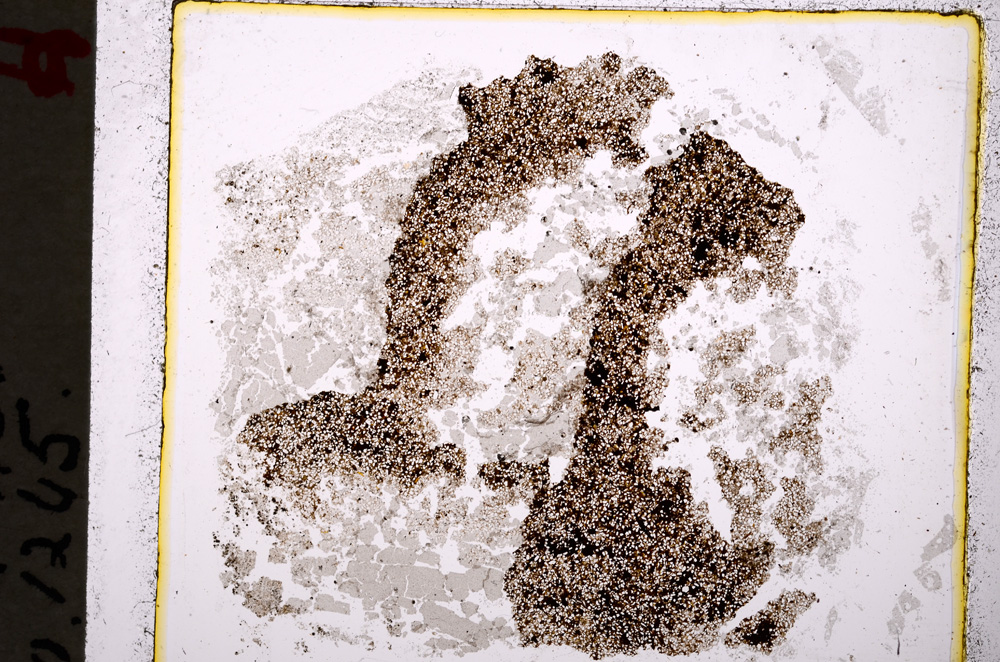 Plane Polarized, E19644