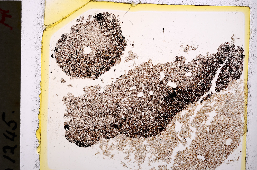 Plane Polarized, E19644/A