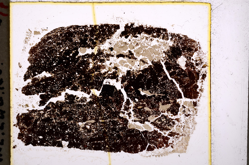 Plane Polarized, E19645