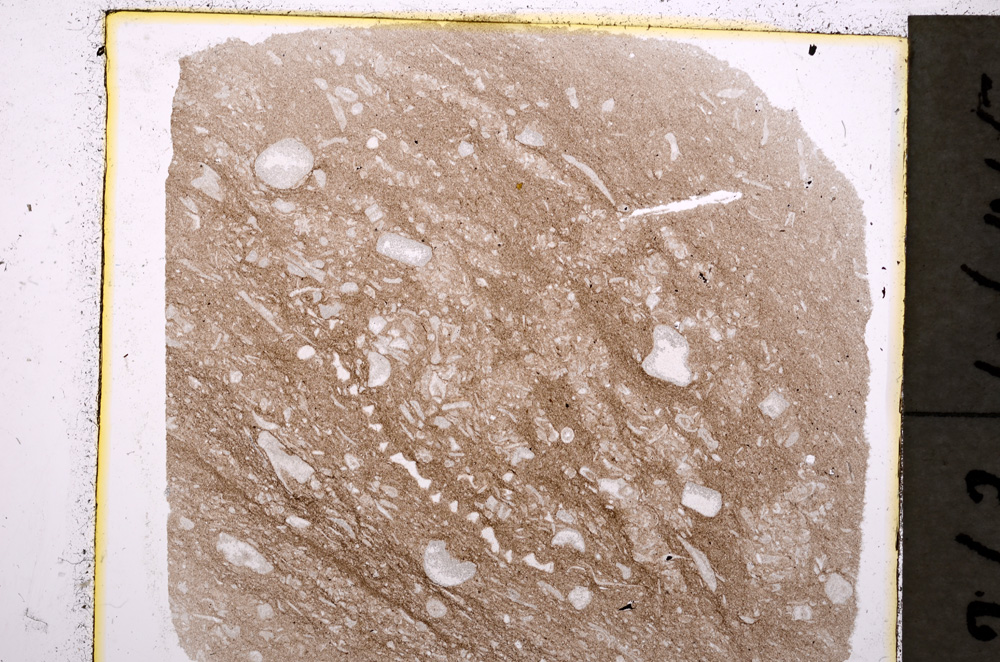 Plane Polarized, E19652