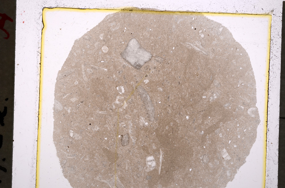 Plane Polarized, E19657