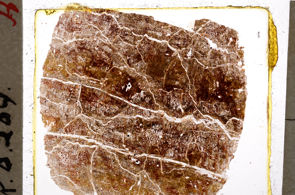 Plane Polarized, E19677