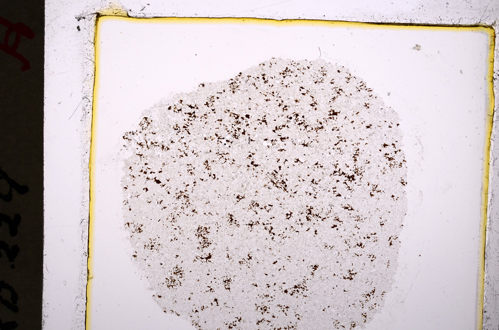 Plane Polarized, E19698