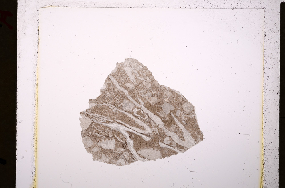 Plane Polarized, E19708