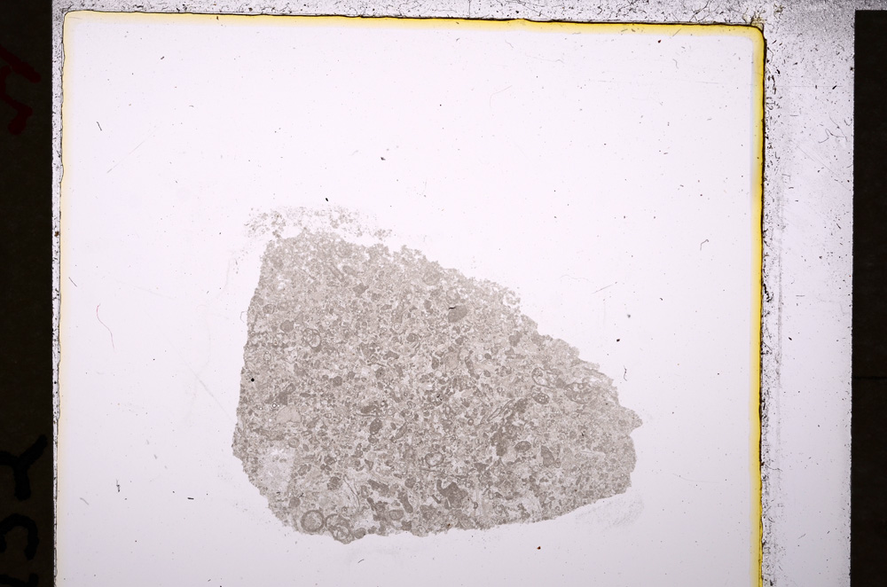 Plane Polarized, E19727