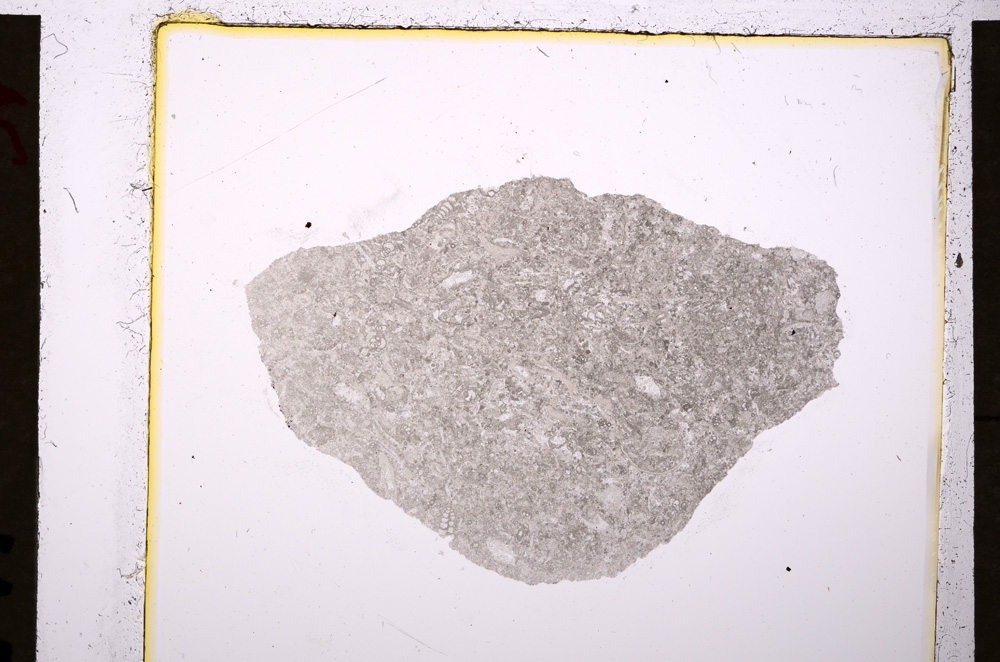 Plane Polarized, E19731