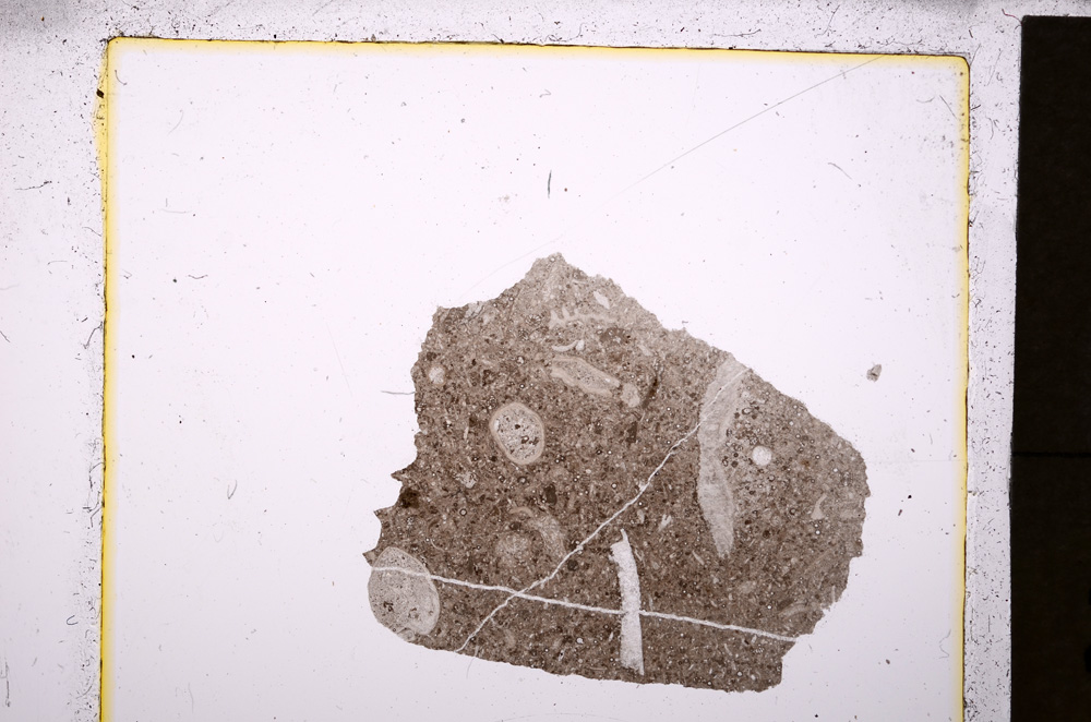 Plane Polarized, E19737