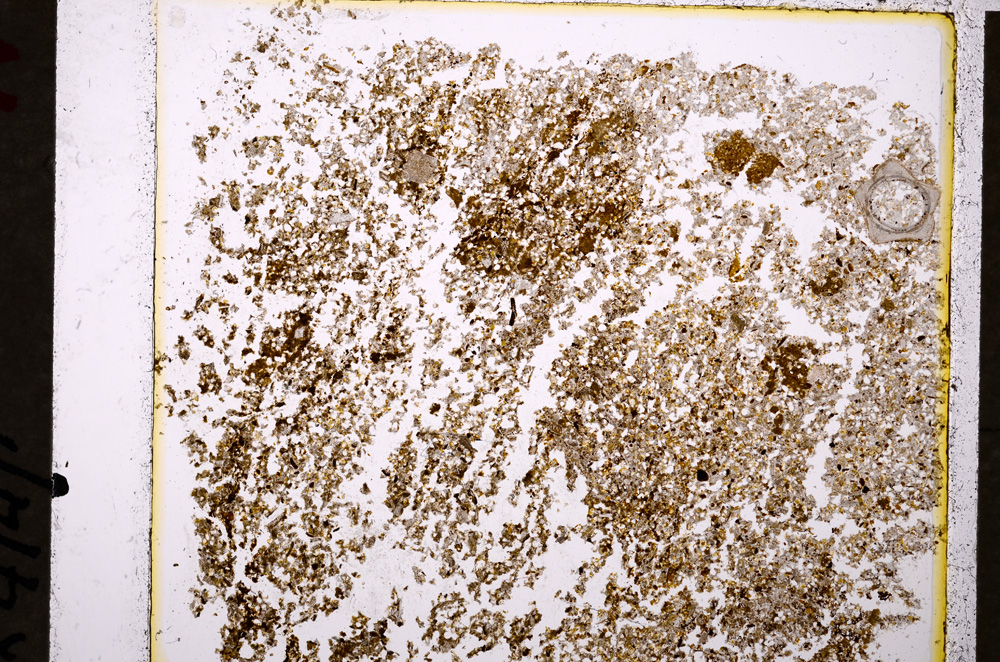 Plane Polarized, E19767