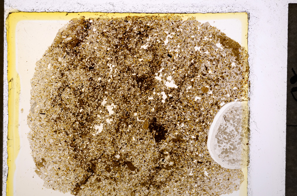 Plane Polarized, E19767/A