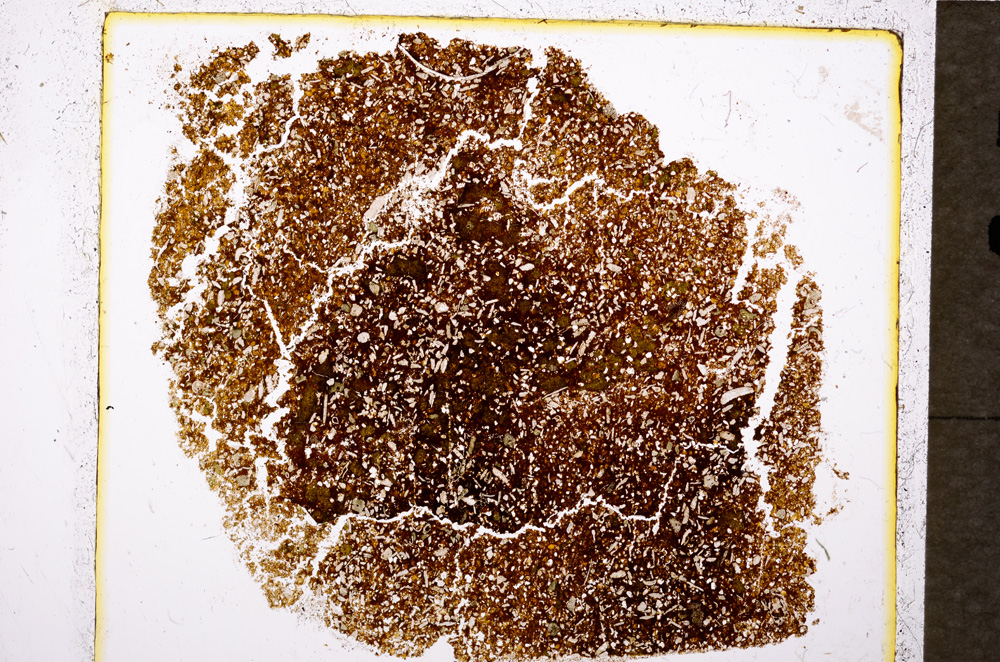 Plane Polarized, E19770