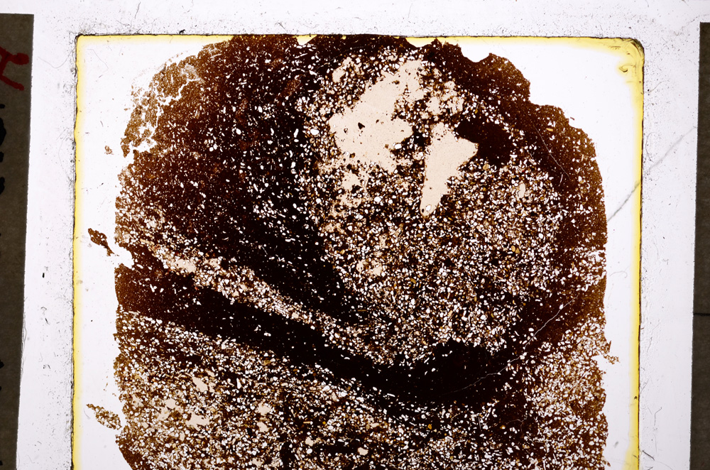 Plane Polarized, E19817