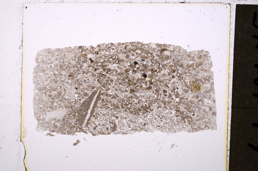 Plane Polarized, E19820