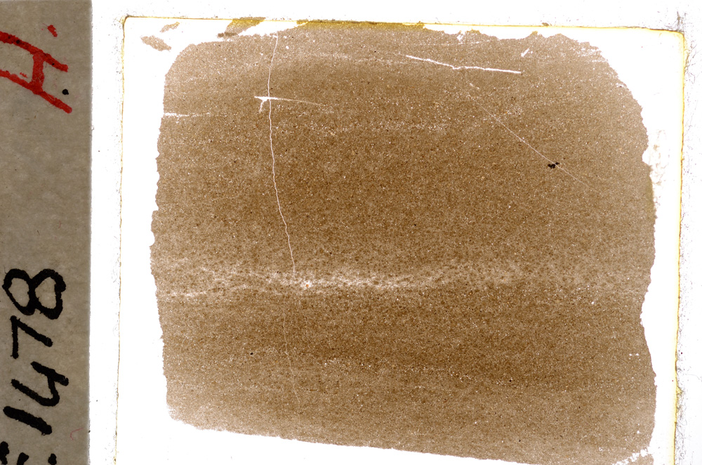 Plane Polarized, E19827